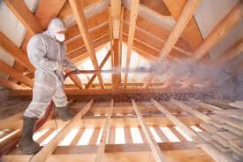 Best Insulation Air Sealing  in Denison, TX