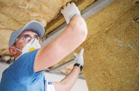 Best Eco-Friendly or Green Insulation Solutions  in Denison, TX