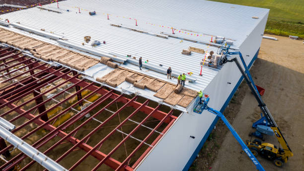 Best Attic Insulation Installation  in Denison, TX